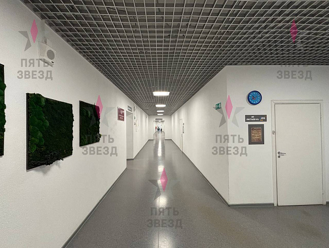 Сдаётся в аренду офисное помещение на 1 линии проспекта...